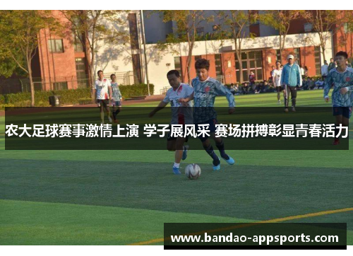农大足球赛事激情上演 学子展风采 赛场拼搏彰显青春活力